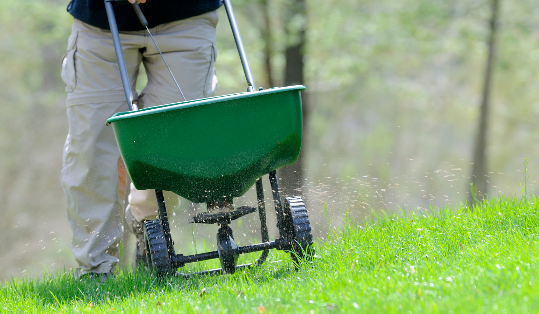 Long Island Lawn Care: Timing Fertilization for a Lush Landscape with John Mennonna Landscaping