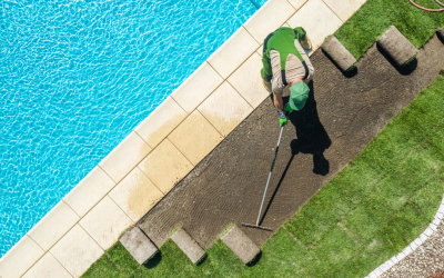 Choosing the Right Time: When to Hire a Professional Landscaper with John Mennonna Landscaping
